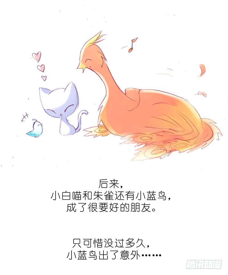 我家大师兄脑子有坑韩漫全集-番外：飞星喵6-15合集无删减无遮挡章节图片 