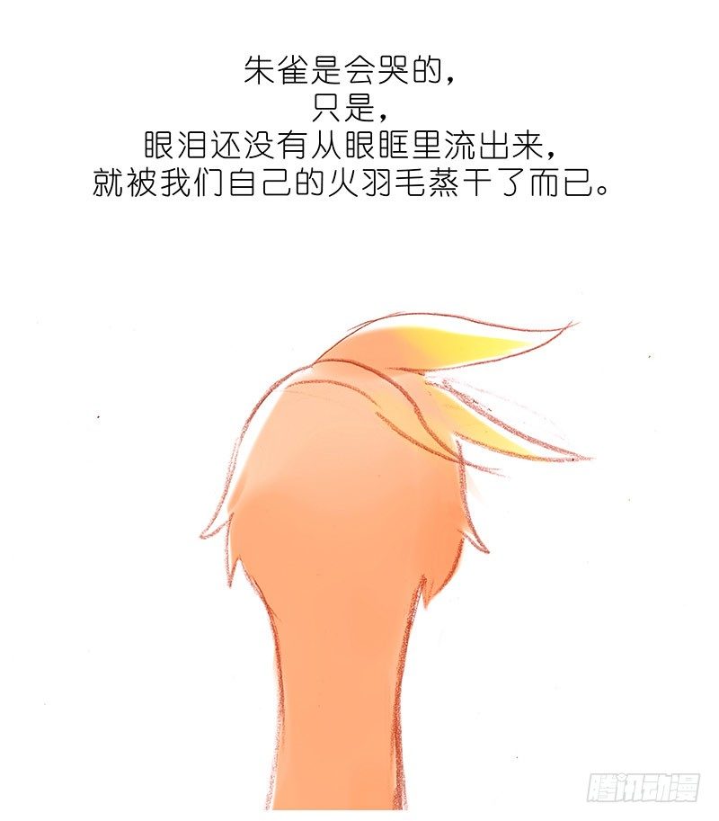 我家大师兄脑子有坑韩漫全集-番外：飞星喵6-15合集无删减无遮挡章节图片 