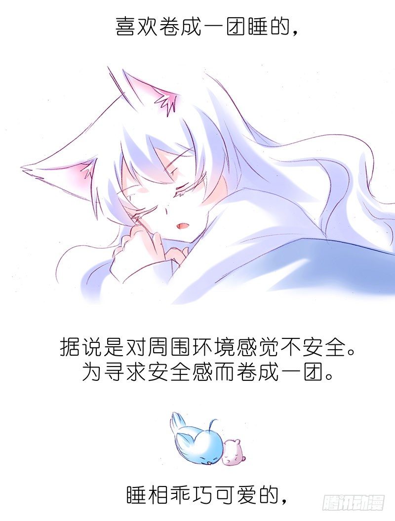 我家大师兄脑子有坑韩漫全集-番外：飞星喵6-15合集无删减无遮挡章节图片 
