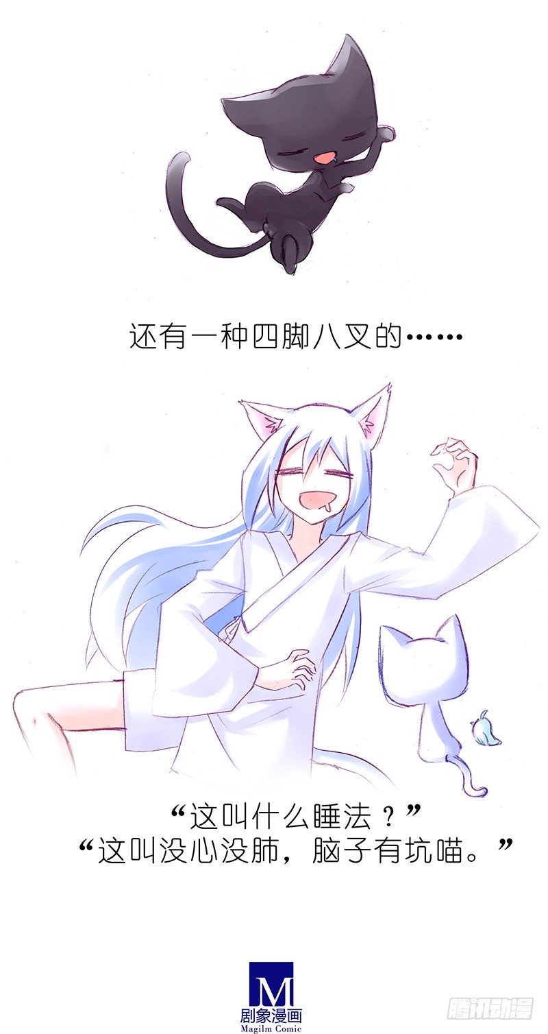 我家大师兄脑子有坑韩漫全集-番外：飞星喵6-15合集无删减无遮挡章节图片 