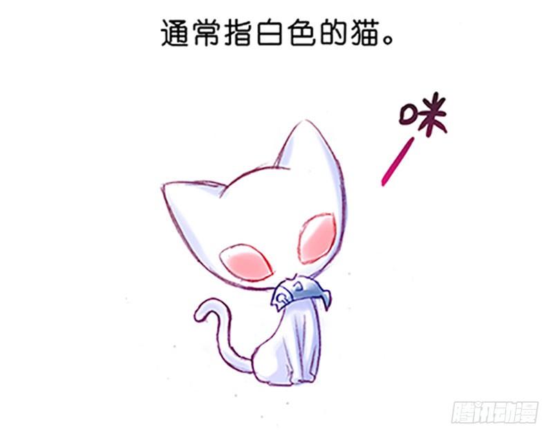 我家大师兄脑子有坑韩漫全集-番外：飞星喵6-15合集无删减无遮挡章节图片 