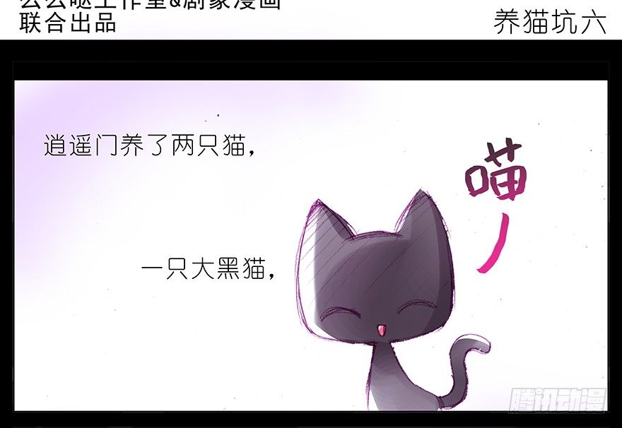 我家大师兄脑子有坑韩漫全集-番外：忽然养只猫 六无删减无遮挡章节图片 
