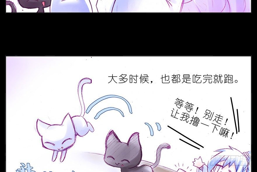 我家大师兄脑子有坑韩漫全集-番外：忽然养只猫 六无删减无遮挡章节图片 