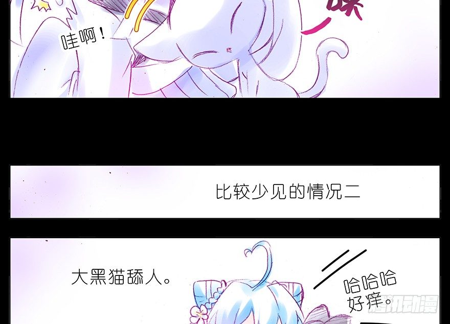 我家大师兄脑子有坑韩漫全集-番外：忽然养只猫 六无删减无遮挡章节图片 