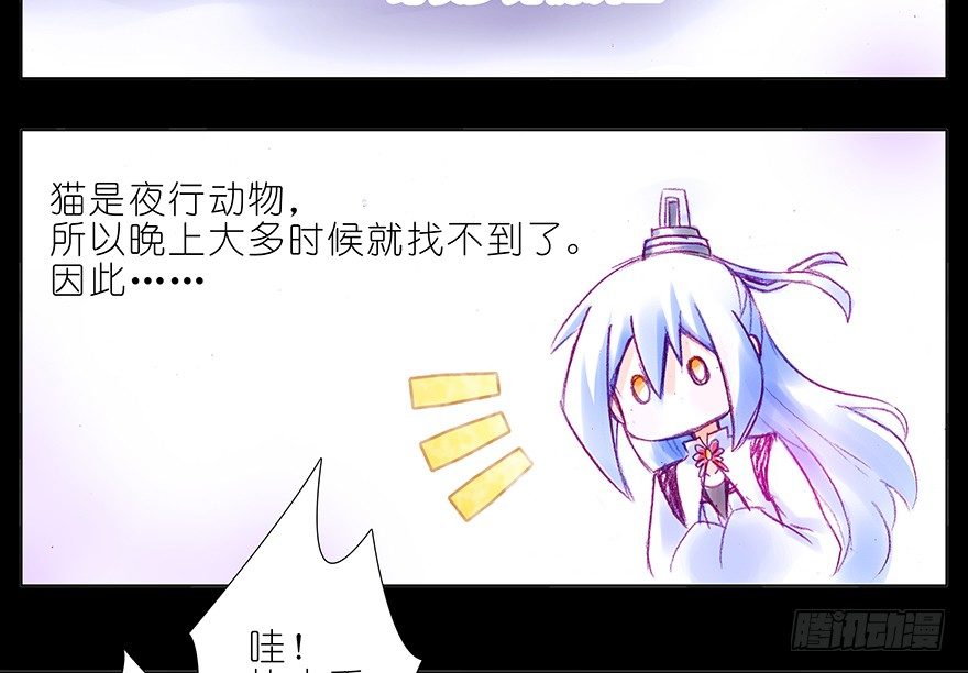 我家大师兄脑子有坑韩漫全集-番外：忽然养只猫 六无删减无遮挡章节图片 