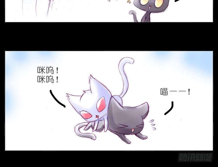 我家大师兄脑子有坑韩漫全集-番外：忽然养只猫 八无删减无遮挡章节图片 