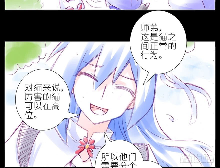 我家大师兄脑子有坑韩漫全集-番外：忽然养只猫 八无删减无遮挡章节图片 