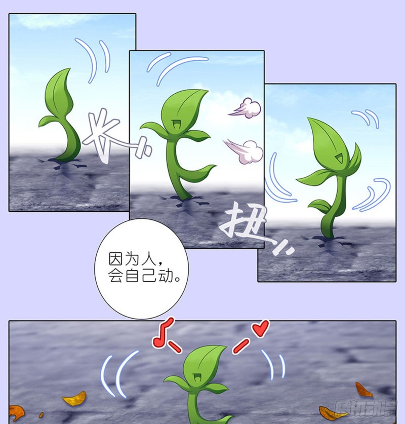 我家大师兄脑子有坑韩漫全集-第421-422坑 修心无删减无遮挡章节图片 