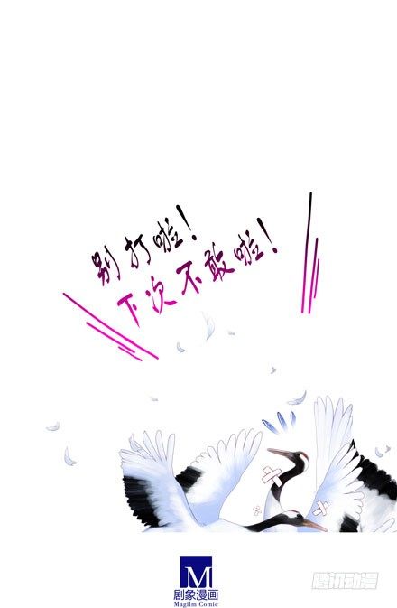 我家大师兄脑子有坑韩漫全集-第52坑 我回来了无删减无遮挡章节图片 