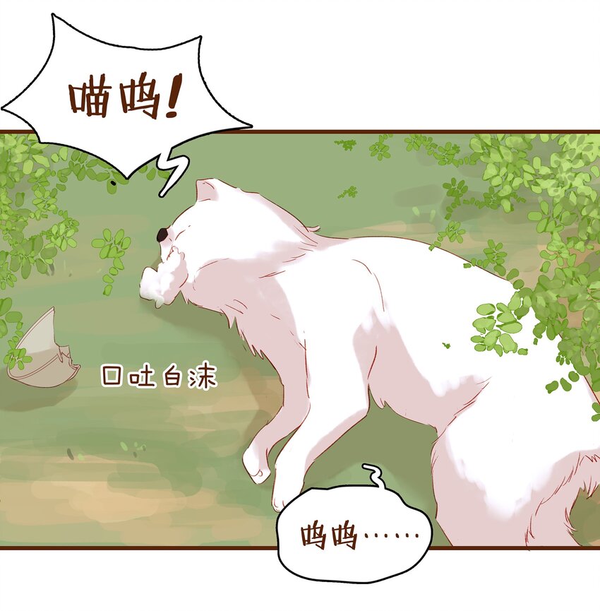 我家少主计无双韩漫全集-003 我们从不卖假药无删减无遮挡章节图片 