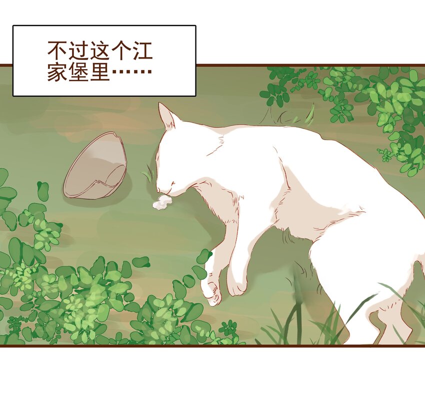 我家少主计无双韩漫全集-003 我们从不卖假药无删减无遮挡章节图片 