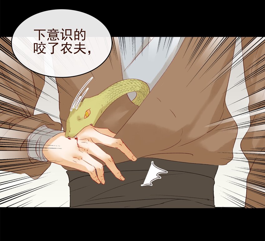 我家少主计无双韩漫全集-006 暗杀失败怪我咯无删减无遮挡章节图片 