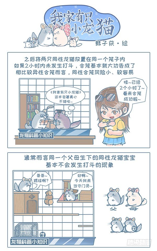 我家有只小龙猫-第108个小故事全彩韩漫标签