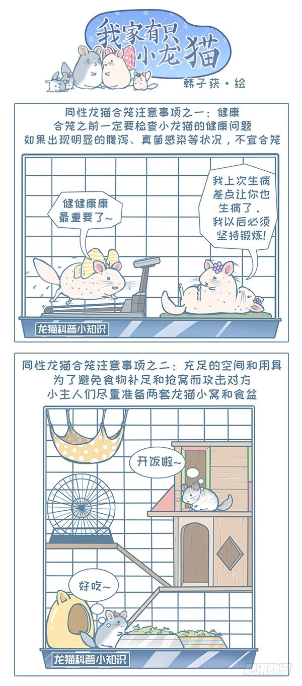 我家有只小龙猫-第108个小故事全彩韩漫标签