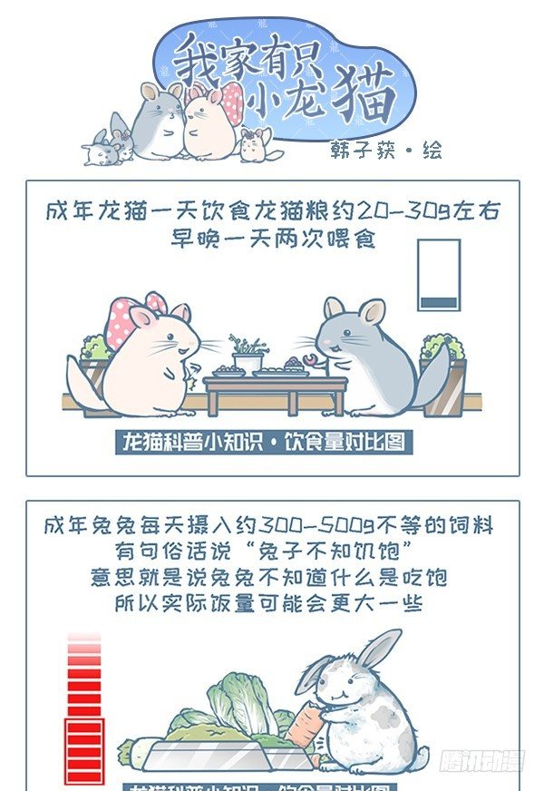 我家有只小龙猫-第115个小故事（6）全彩韩漫标签