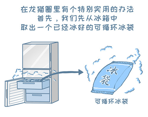 我家有只小龙猫-第120个小故事全彩韩漫标签