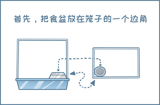 我家有只小龙猫-第123个小故事（下）全彩韩漫标签