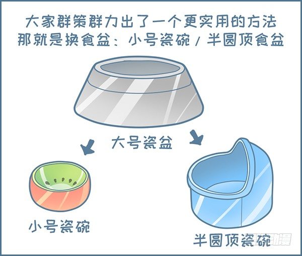 我家有只小龙猫-第129个小故事全彩韩漫标签