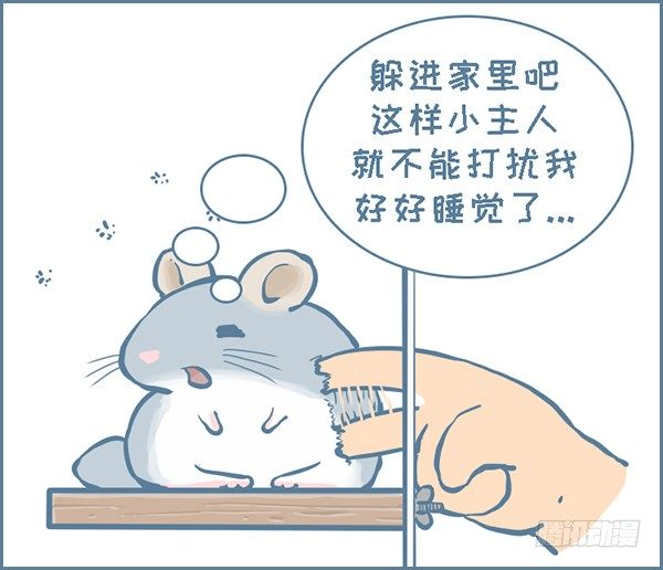 我家有只小龙猫-第141个小故事（3）全彩韩漫标签