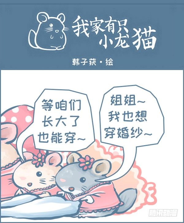 我家有只小龙猫-我们结婚啦（下）全彩韩漫标签