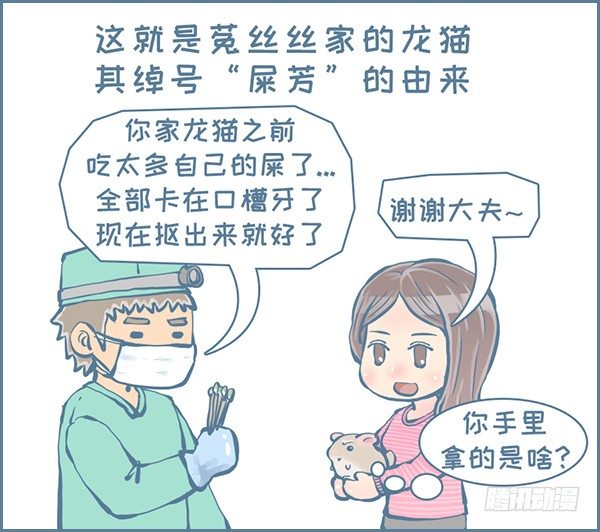 我家有只小龙猫-真实的龙猫友故事—菟丝丝（下）全彩韩漫标签