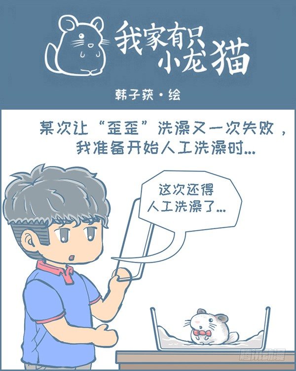 我家有只小龙猫-龙猫“歪歪”不洗澡了（4）全彩韩漫标签