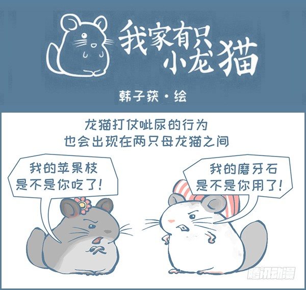 我家有只小龙猫-龙猫呲尿学（上）全彩韩漫标签