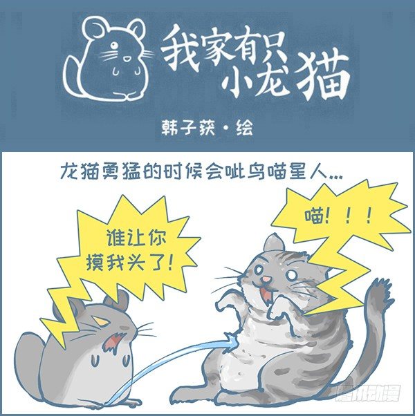 我家有只小龙猫-龙猫呲尿学（下）全彩韩漫标签