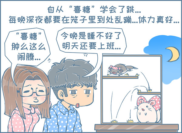 我家有只小龙猫-喜糖的弹跳（2）全彩韩漫标签