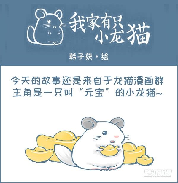 我家有只小龙猫-龙猫“元宝”的故事-1全彩韩漫标签