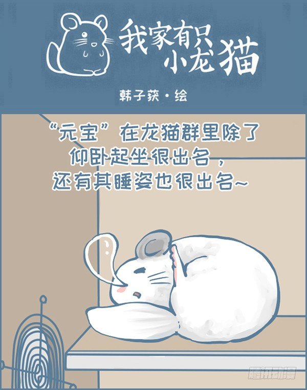 我家有只小龙猫-龙猫“元宝”的故事-3全彩韩漫标签