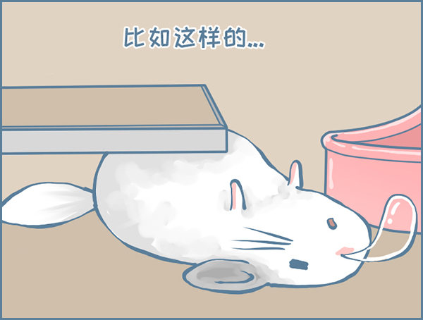 我家有只小龙猫-龙猫“元宝”的故事-3全彩韩漫标签