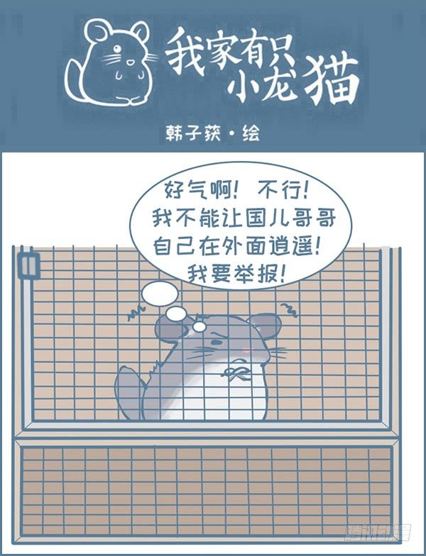 我家有只小龙猫-军军告状（3）全彩韩漫标签