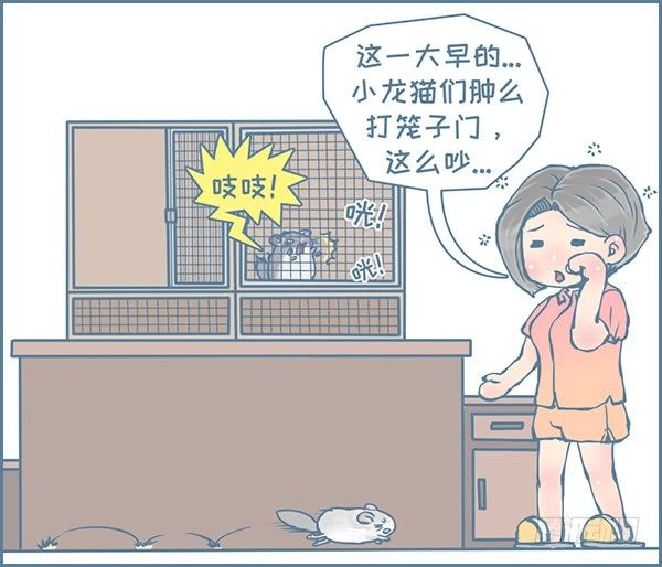 我家有只小龙猫-军军告状（3）全彩韩漫标签