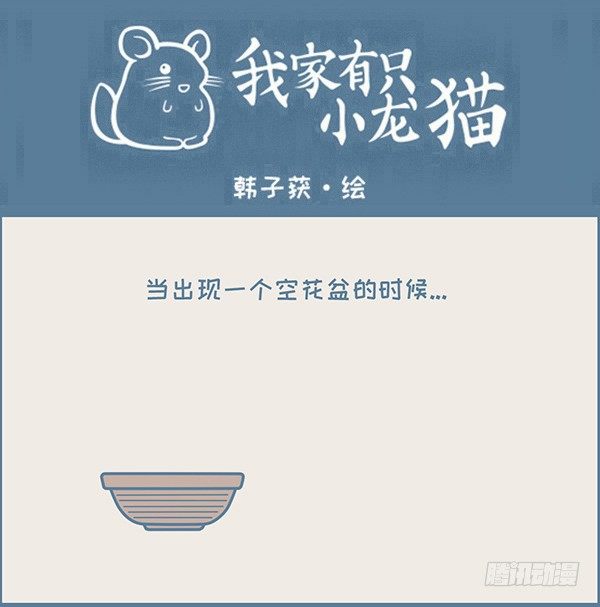 我家有只小龙猫-一盆龙猫多肉的诞生全彩韩漫标签