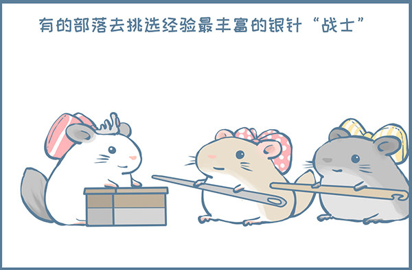 我家有只小龙猫-鼠年龙猫族的礼物（3）全彩韩漫标签