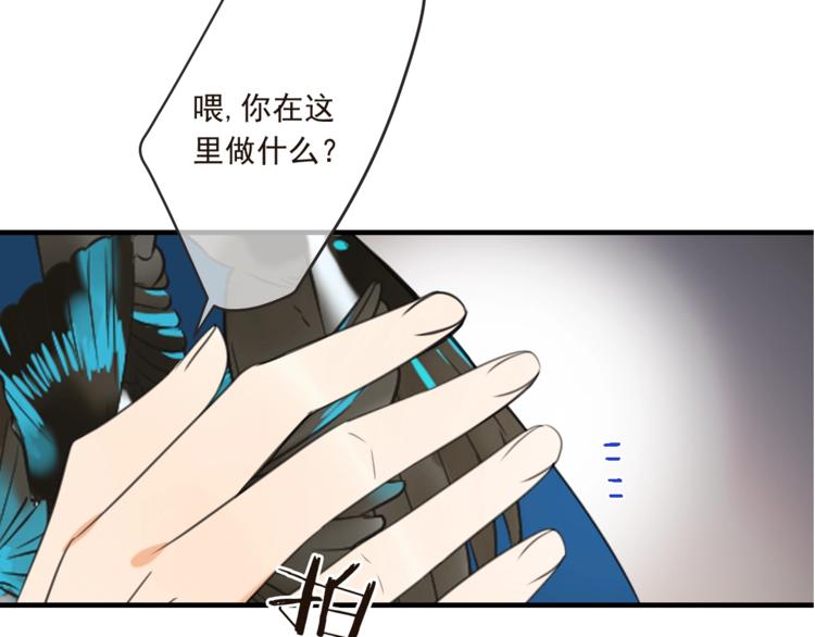 我男票是锦衣卫韩漫全集-第66话 最好的选择无删减无遮挡章节图片 