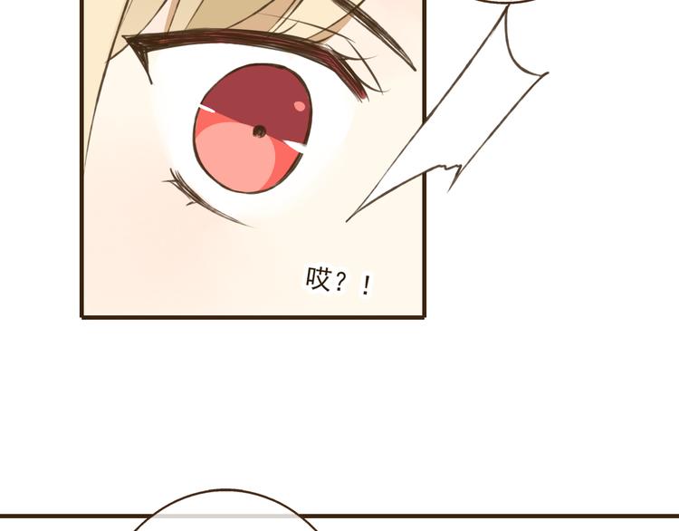 我男票是锦衣卫韩漫全集-第34话 心机莲！负心莲！最讨厌你了！无删减无遮挡章节图片 