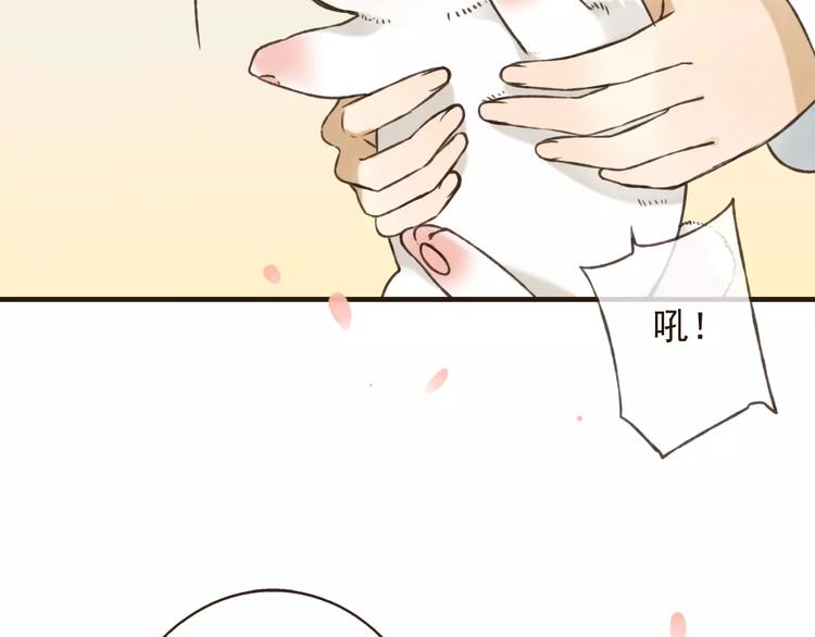 我男票是锦衣卫韩漫全集-第71话 只会吼吼叫的少女无删减无遮挡章节图片 