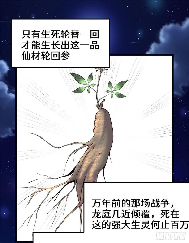 我修的可能是假仙韩漫全集-第179话 遇事不决，量子力学无删减无遮挡章节图片 