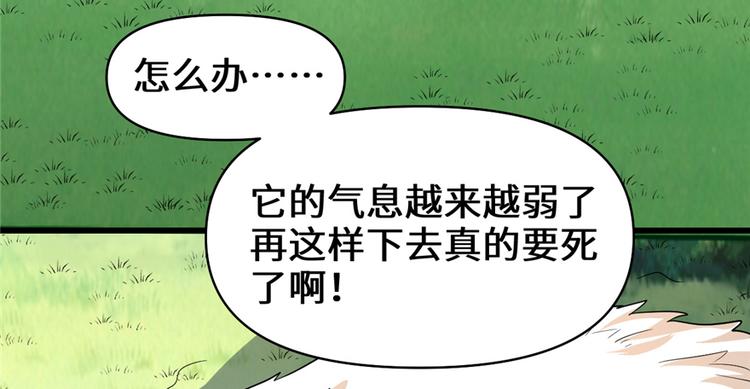 我修的可能是假仙韩漫全集-第26话 突破！无删减无遮挡章节图片 