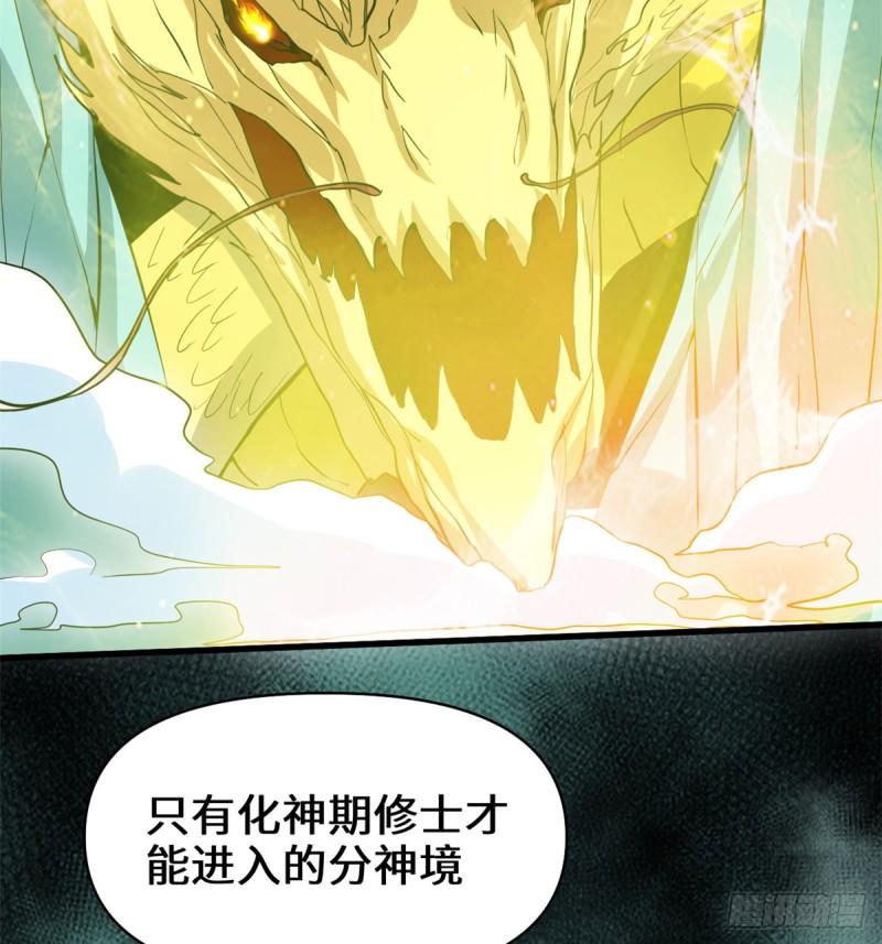 我修的可能是假仙韩漫全集-第59话 生命代价无删减无遮挡章节图片 