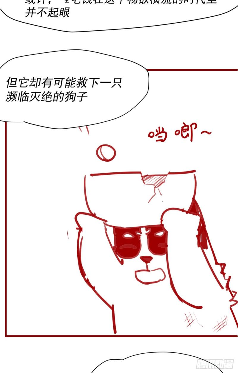 我修的可能是假仙韩漫全集-第62话 年终测验无删减无遮挡章节图片 