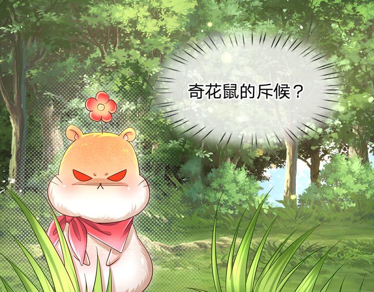 我，伊蒂丝女皇韩漫全集-第15话 小组合作？无删减无遮挡章节图片 