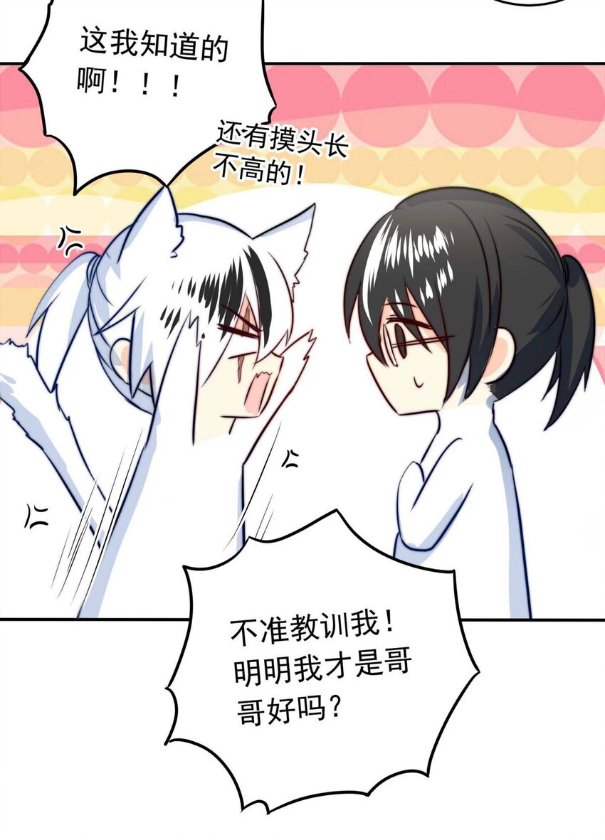 我愿为你献上黎明韩漫全集-1 大盗“雪鸮”无删减无遮挡章节图片 