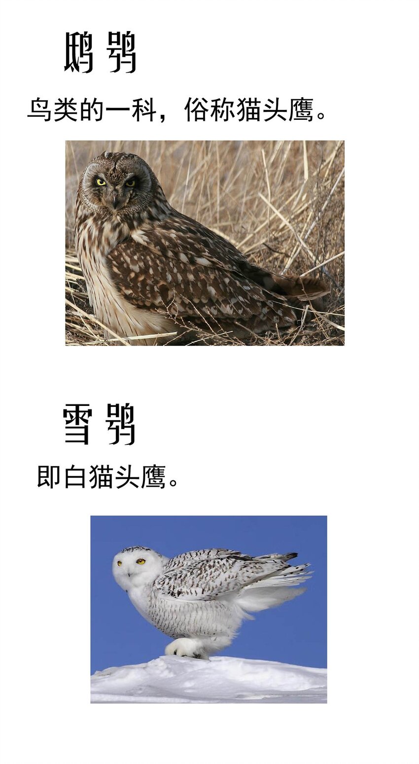 我愿为你献上黎明韩漫全集-13 夜的角落（三）无删减无遮挡章节图片 