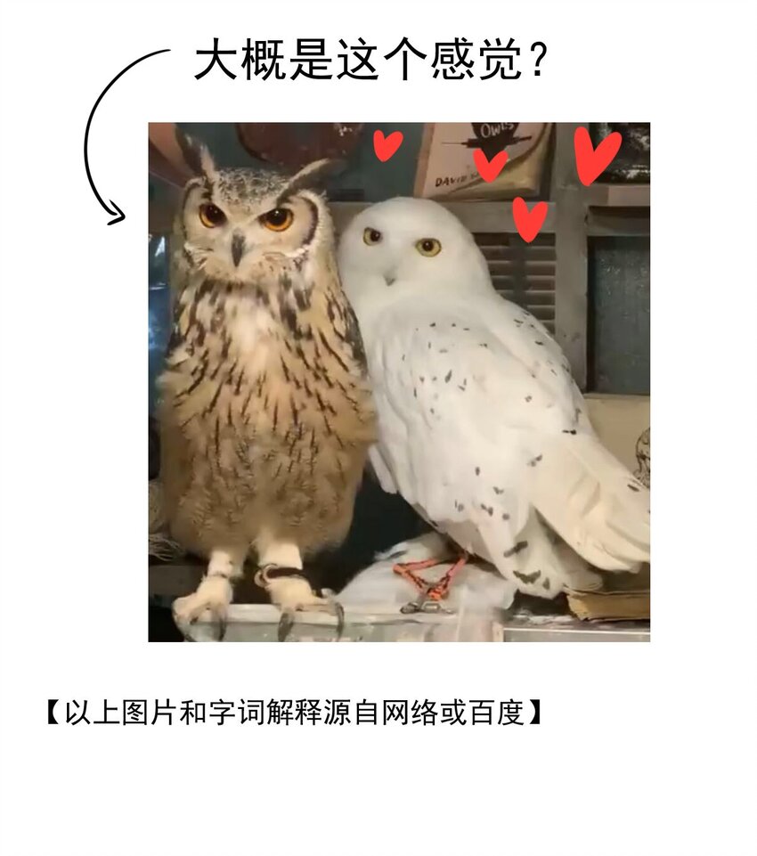 我愿为你献上黎明韩漫全集-13 夜的角落（三）无删减无遮挡章节图片 