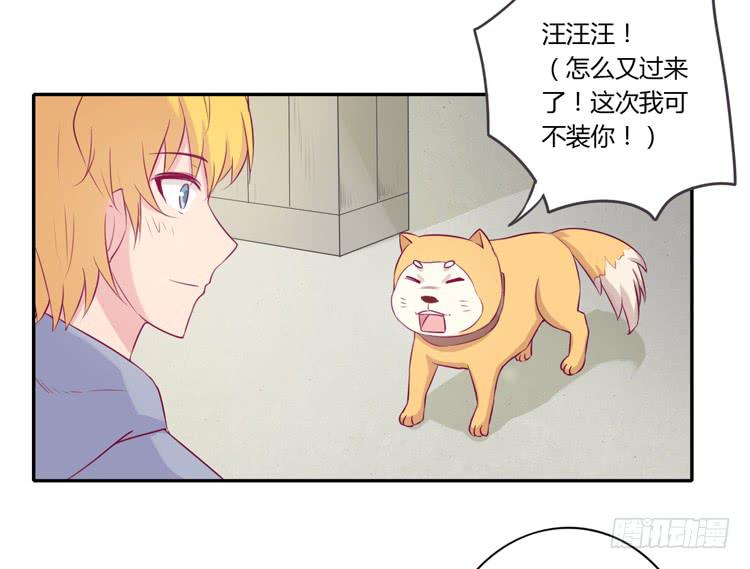 我与秋田韩漫全集-拉近距离大作战无删减无遮挡章节图片 