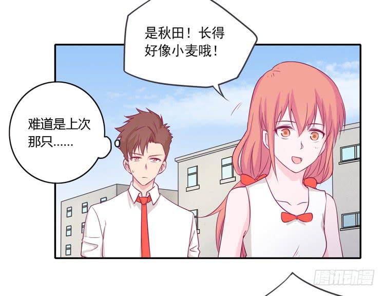 我与秋田韩漫全集-拉近距离大作战无删减无遮挡章节图片 