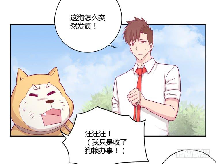 我与秋田韩漫全集-你们两个大笨蛋无删减无遮挡章节图片 